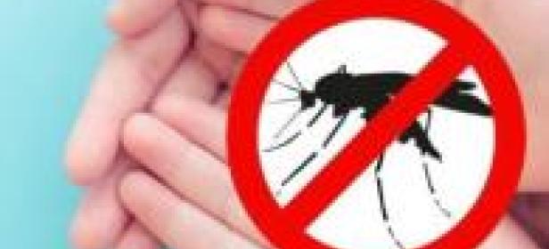  Double Jeopardy: Why Chronic Illness May Double the Odds of Severe Dengue